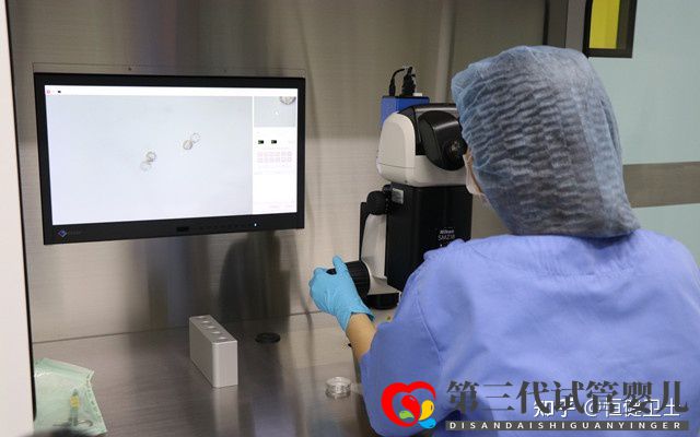 第三代試管嬰兒成功率及其費用詳解2022(圖1) 第三代試管嬰兒成功率及其費用詳解2022(圖1)