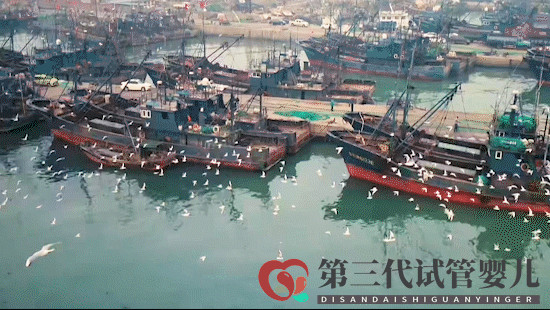 跟著王麗坤去打卡！日照這些地方火遍全國了！你去過哪個？(圖3)