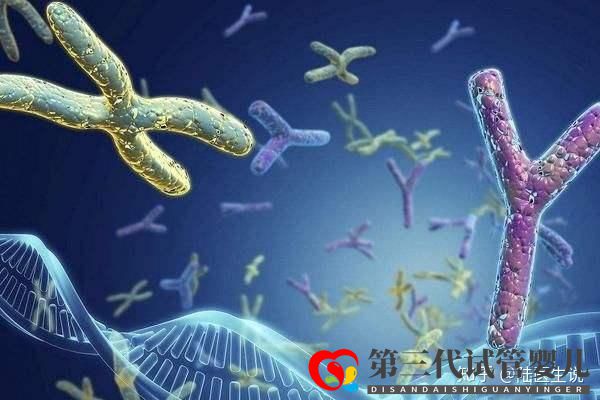 發生過胚胎染色體異常還能要寶寶嗎(圖2)