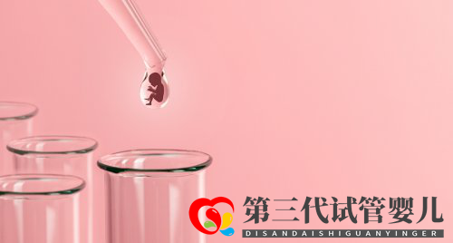 基礎(chǔ)卵泡會(huì)影響試管的成功率嗎(圖1) 基礎(chǔ)卵泡會(huì)影響試管的成功率嗎(圖1)