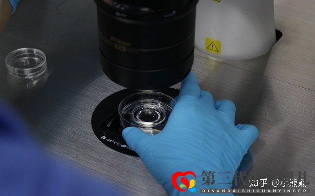 40歲做三代試管成功率有多大(圖1) 40歲做三代試管成功率有多大(圖1)