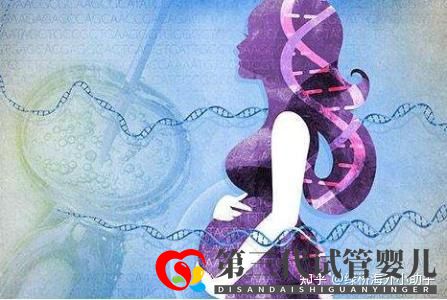 試管嬰兒生男生女的概率由什么決定(圖1) 試管嬰兒生男生女的概率由什么決定(圖1)