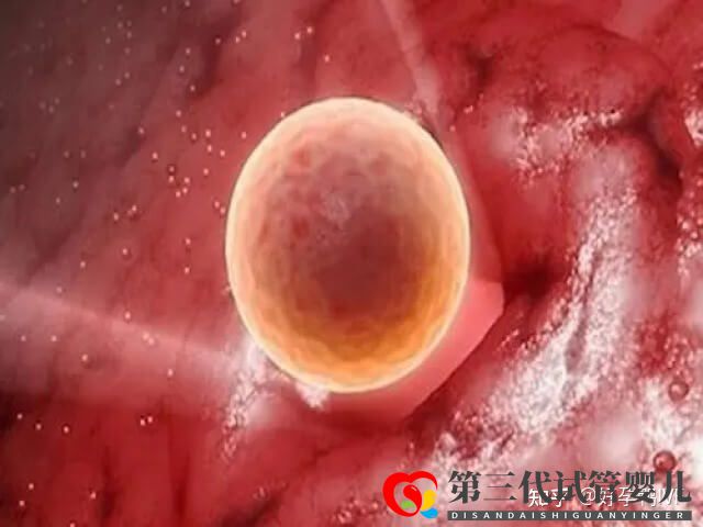 50歲絕經做一次供卵試管移植的成功率是多少(圖2)