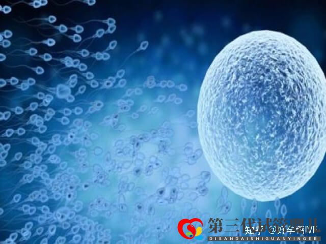 50歲絕經做一次供卵試管移植的成功率是多少(圖4)