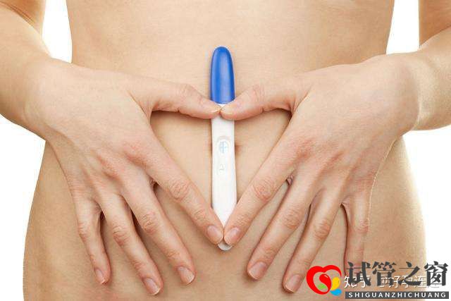 多囊能做試管嗎試管的成功高嗎(圖2) 多囊能做試管嗎試管的成功高嗎(圖2)