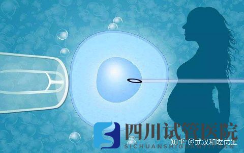 成都第三代試管技術(shù)可指定生男生女雙胞胎...但這不是你一(圖3) 成都第三代試管技術(shù)可指定生男生女雙胞胎...但這不是你一(圖3)