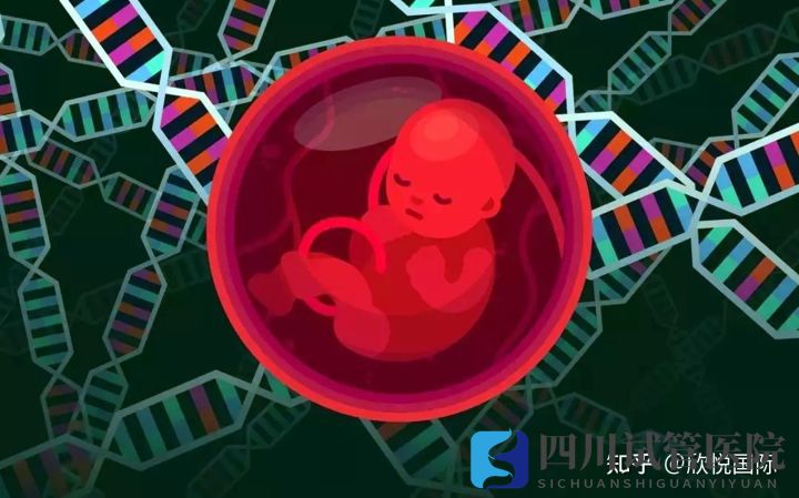 成都第三代試管嬰兒費用大概多少錢(圖2)