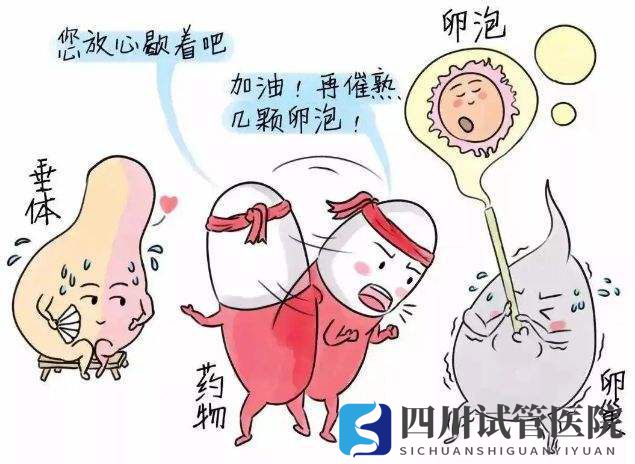 成都三代試管抗結方案流程是怎么樣的？(圖1)