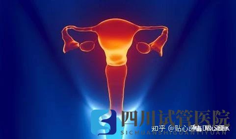 卵巢早衰做試管嬰兒的成功率(圖1) 卵巢早衰做試管嬰兒的成功率(圖1)