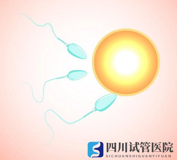 越年輕做試管嬰兒成功率就越高嗎？(圖1)