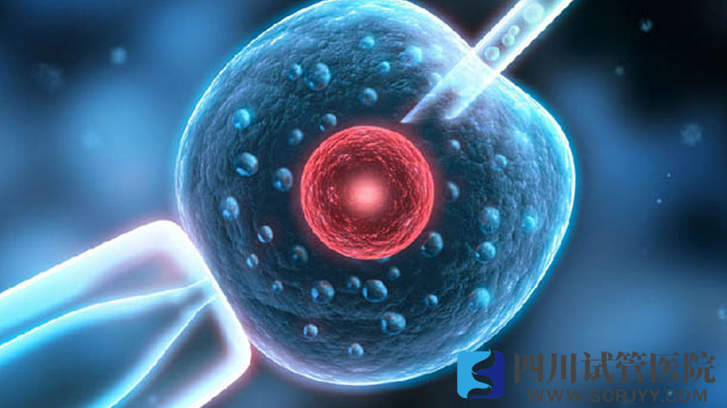 哪些人群需要做供卵試管嬰兒？