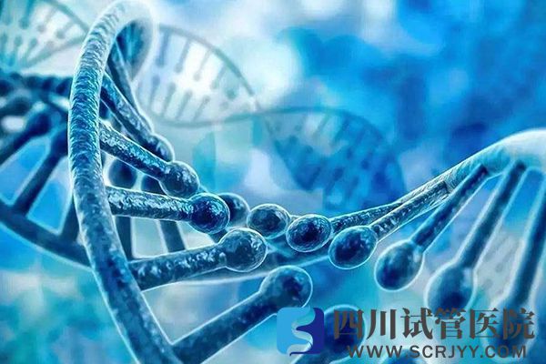 15q11-13片段重復會引起胎兒畸形